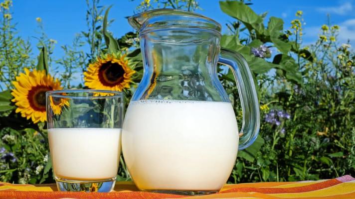 Producent biomléka: přechod na bio pro nás znamená vyšší výkupní ceny, zahraniční odbyt a rozšířenou produkci