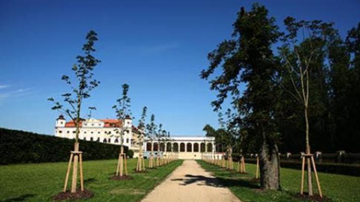 MŽP vyhlásilo výzvu na zpracování studií systémů sídelní zeleně s následnou realizací. Obce si mohou rozdělit 119 milionů korun