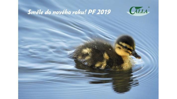 I v roce 2018 Calla aktivně chránila ohrožené druhy v pískovnách