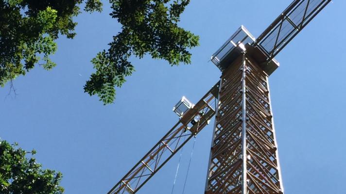 Čeští ekologové postavili na Papui Nové Guinei výzkumný jeřáb, slavnostnímu otevření přihlíželi i lesní duchové