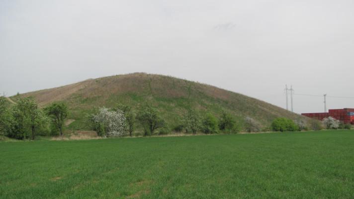 Nová divočina na pomezí pražských Horních Měcholup a Uhříněvsi