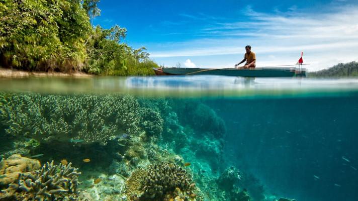 Coral Reefs Around The World Are In Grave Danger. Here's What's Happening
