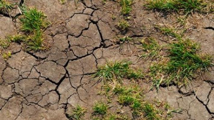Nový pořad ČT ,,Klima mění Česko" ukáže hrozby ale i příležitosti klimatické změny