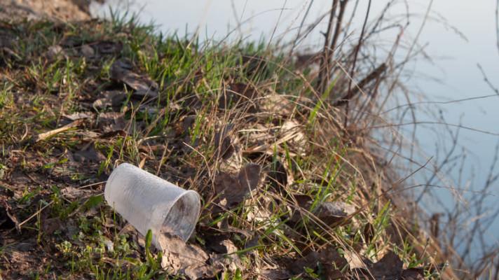 Zprávy z kampaně #DostByloPlastu: Vodáci chtějí očistit Vltavu Zprávy z kampaně #DostByloPlastu: Vodáci chtějí očistit Vltavu