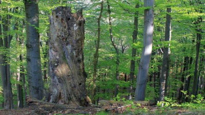700 milionů korun pro ochranu přírody a krajiny