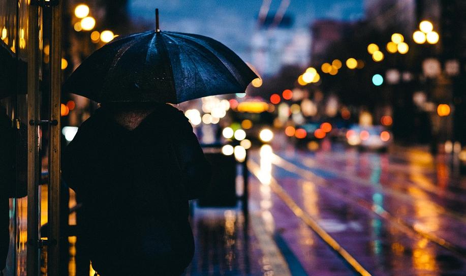 Nature's Bounty: What You Need To Know About Harvesting Rainwater