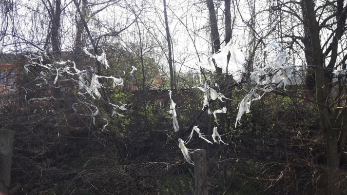 ČESKO: Spotřeba igelitek v obchodech se podstatně snížila