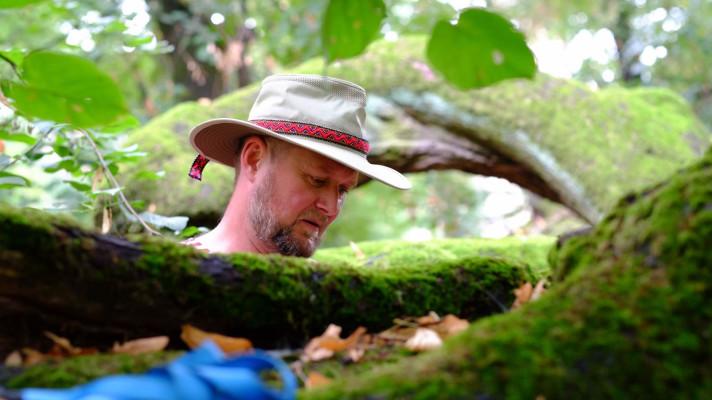 Čeští arboristé letí do Ohia: zkoumají, jak zachraňovat ohrožené stromy