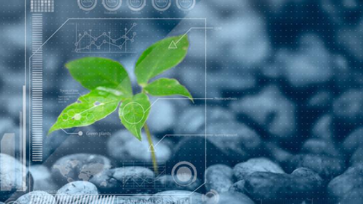 Mezinárodní konferenci rostlinných biologů doprovodí kreslené vtipy českobudějovického výtvarníka Kerlese
