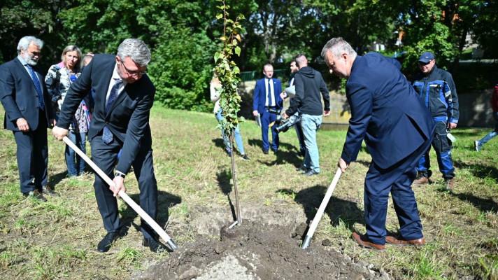 #sazimebudoucnost: Vláda vysadila lípy v Horním Jiřetíně