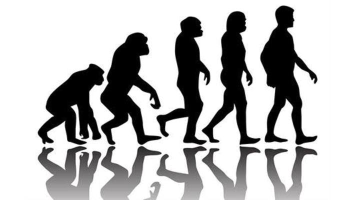 DNA může pomoci rozklíčovat délku života vyhynulých druhů
