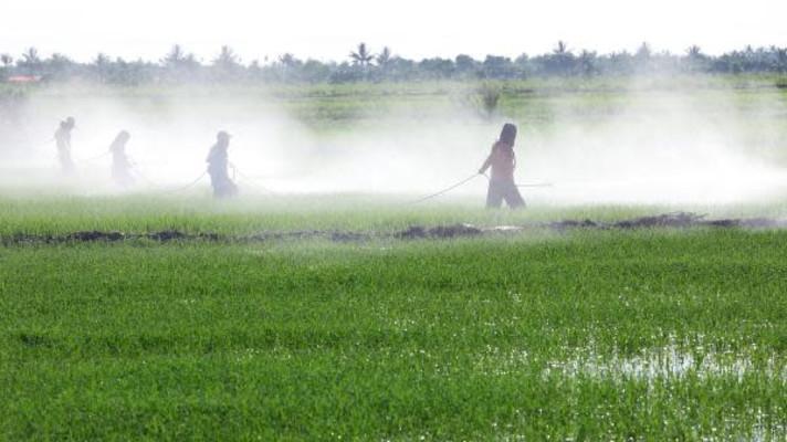 Sustainable use of pesticides - Implementation report Sustainable use of pesticides - Implementation report