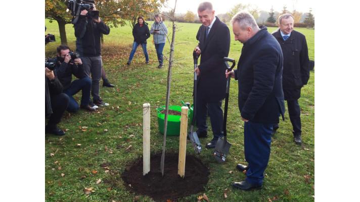 Stezka sucha v Průhonicích pomáhá najít správné stromy do vyprahlých měst