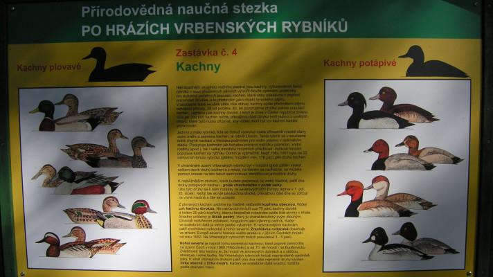 Krajská síť environmentálních center Krasec zahájila projekt Oživené stezky