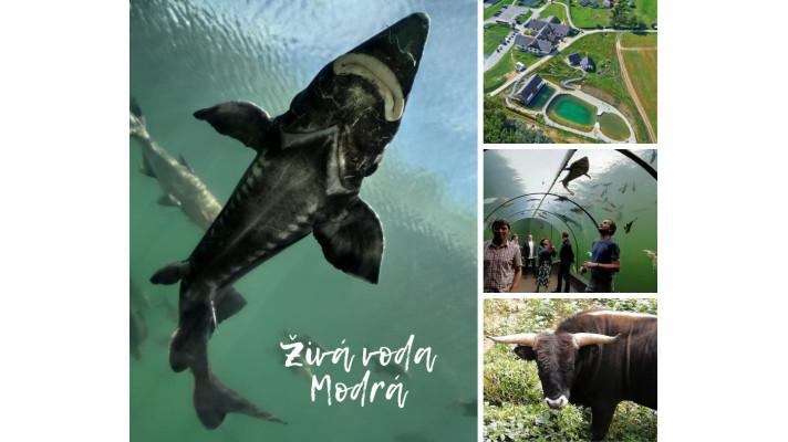 3. ročník soutěže Náš evropský projekt zná vítěze!