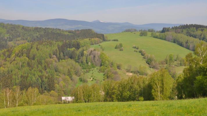 Lesní hospodáři potřebují seriózní scénáře a prognózy klimatických změn