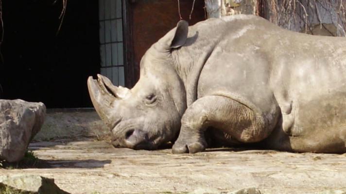 MŽP pomůže zoologickým zahradám okamžitým příspěvkem na krmivo