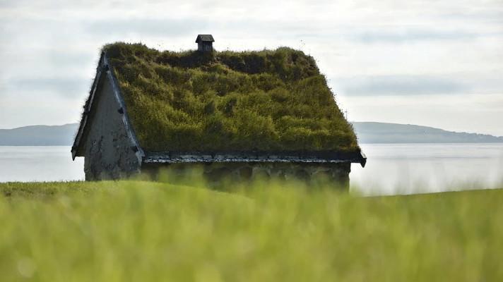 Zelené střechy jsou stále oblíbenější. Letos oslaví první světový den