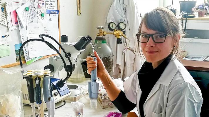 Tři mladí českobudějovičtí vědci obdrželi Prémii Otto Wichterleho