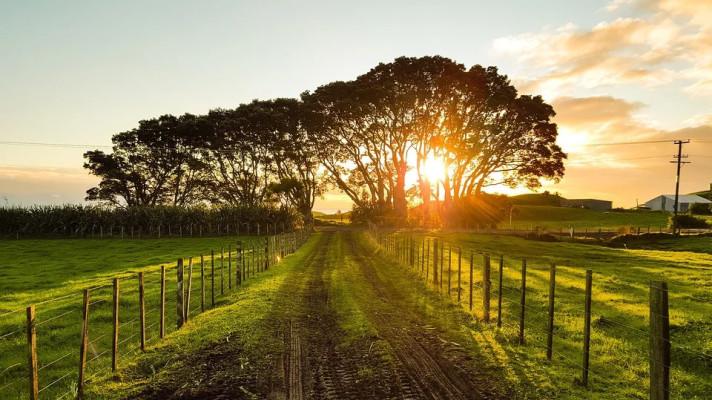 FUTURE FARMING: BRINGING FARM CLOSER TO FORK IN BELGIUM