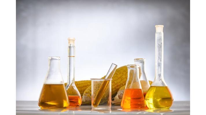 Kapalná biopaliva za rok 2019