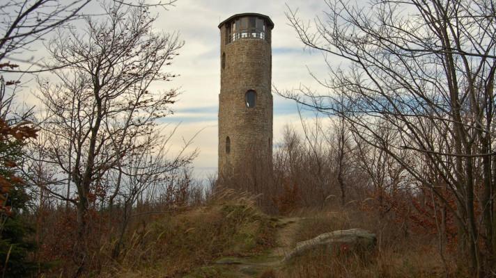 Vliv lesnického hospodaření ve Chřibech na hnízdění jestřába lesního