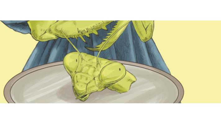 Výstava v Plzni provází intimním životem zvířat