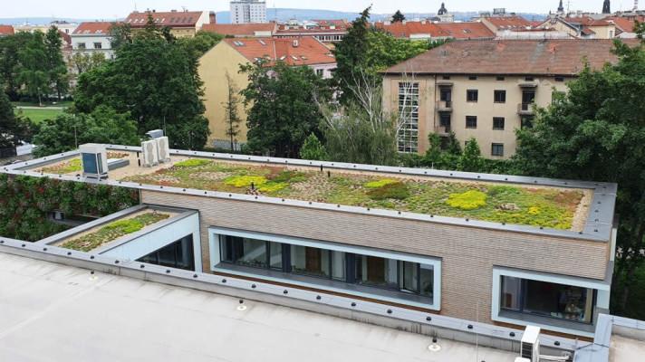 VERTIKÁLNÍ ZAHRADA NA BUDOVĚ KANCELÁŘE VEŘEJNÉHO OCHRÁNCE PRÁV