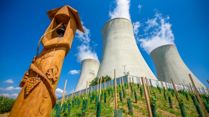 U Jaderné elektrárny Dukovany roste největší jaderná vinice