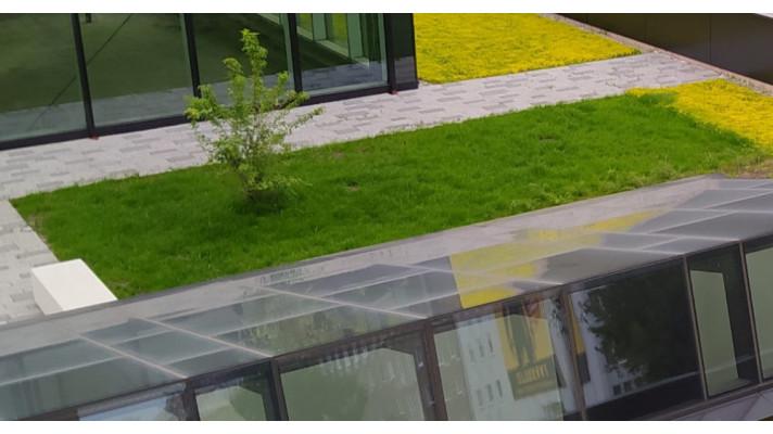 PODPOŘTE BRNO V SOUTĚŽI E.ON ENERGY GLOBE A HLASUJTE PRO PROJEKT DOTAČNÍ PODPORY ZELENÝCH STŘECH