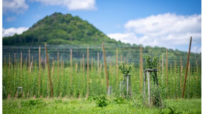Adapterra Awards - Pestrá krajina na statku Vodňanský