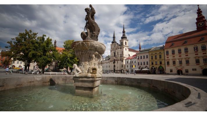 Obhajoby nejvyšších kategorií MA21 se letos uskuteční virtuálně