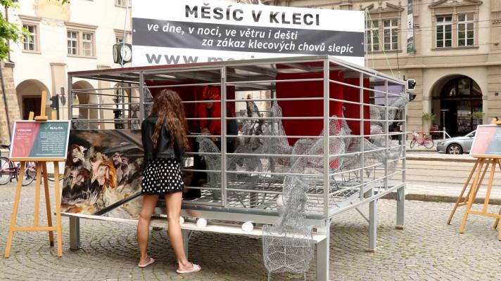 Před Sněmovnu se vrací klec