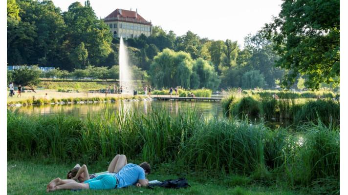 Adapterra Awards - Obnova Královské obory Stromovka v Praze