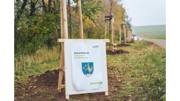 Namísto ostnatého drátu stromy. V Šatově vyrostla Alej svobody