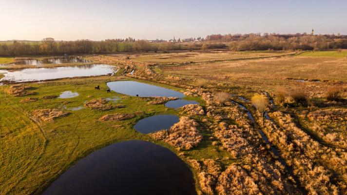 Ptačí park Josefovské louky se rozroste. Město Jaroměř darovalo ornitologům 4 ha mokřadních luk