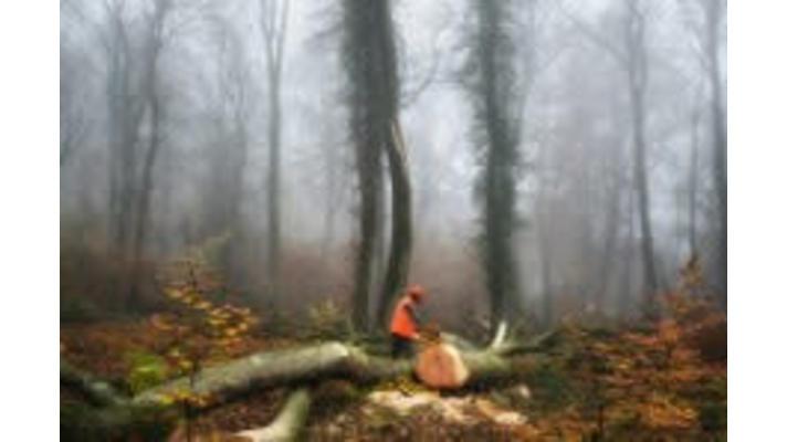 Innovative soundscape technology could enable automated, rapid, global monitoring of ecosystems