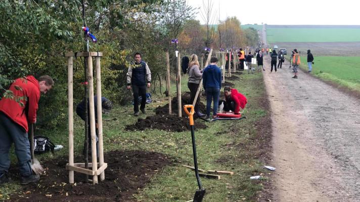Nová alej spojila Šatov na Znojemsku s Rakouskem