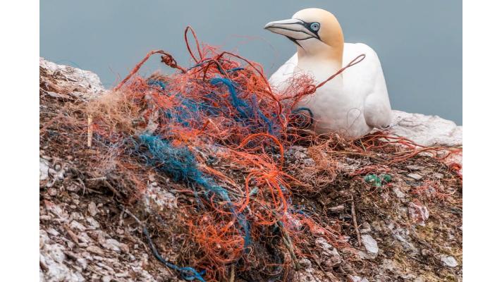 Na dně Středozemního moře leží přes milion tun plastového odpadu