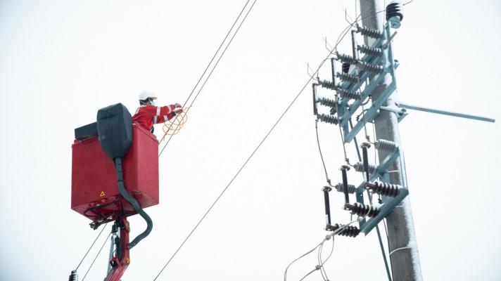 Nová spirála lépe ochrání ptáky před nárazy do elektrického vedení