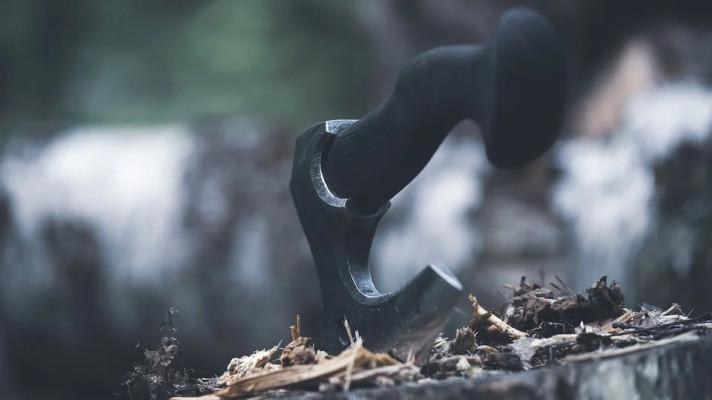 Hřib vyzval Zemana, aby se nekácely stromy v Jelením příkopu