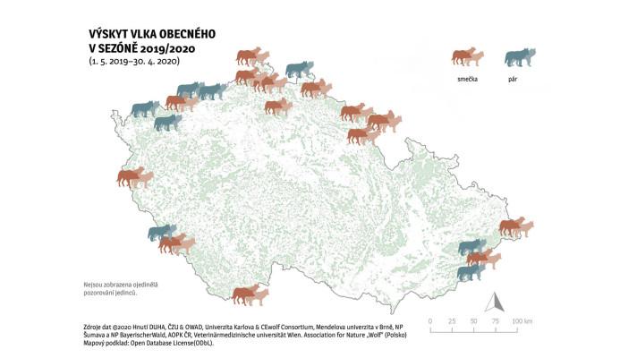 Hradecký kraj zřídil komisi pro řešení problémů kolem vlků