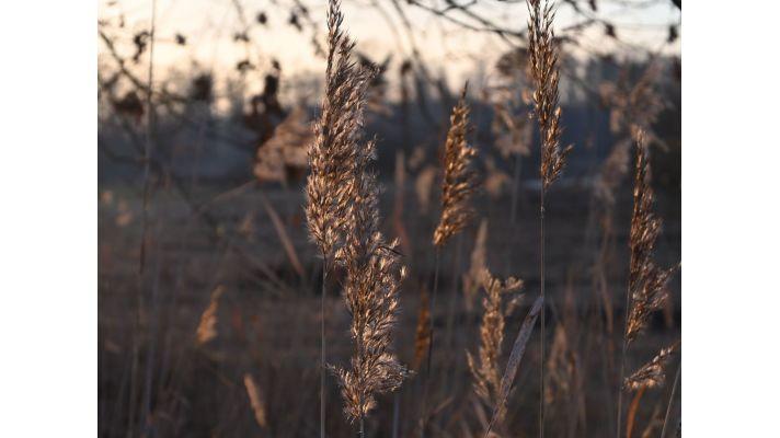 Zpráva za rok 2019: Díky čistšímu ovzduší se nám lépe dýchá, změna klimatu a sucho se dál podepisují na životním prostředí