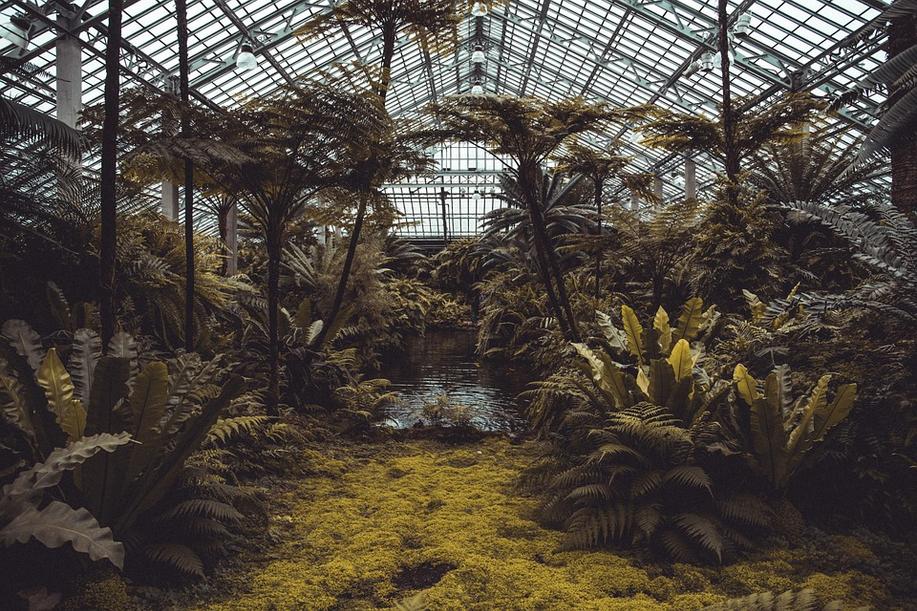 Havlíček: Zoo a botanické zahrady budou smět otevřít venkovní prostory od pondělí