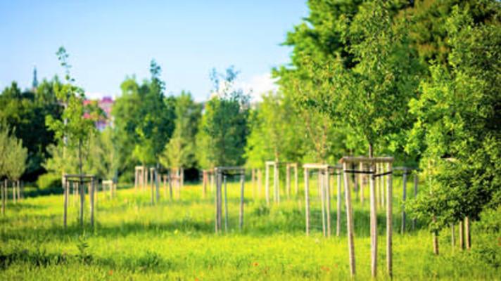 Uherský Brod: Environmentální park Škrlovec
