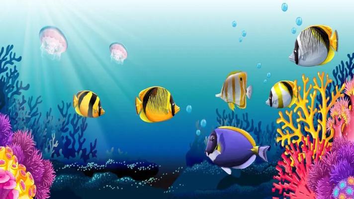 Pokračování článku 20 of the Weirdest and Wonderful Creatures In The Ocean