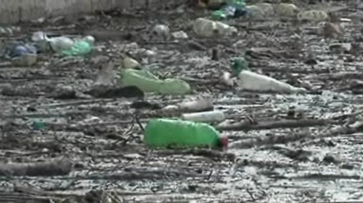 Povodí Moravy po zimě odklidí z Brněnské přehrady asi 100 tun naplavenin