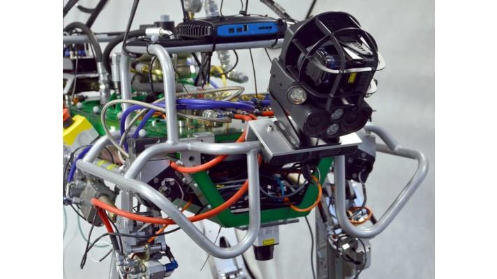 Robotorostliny - vědci hledají, jak propojit přírodu a robotiku