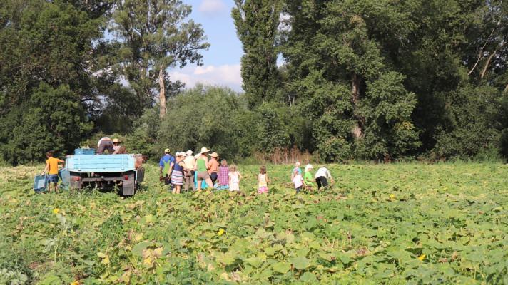 Rozhovor s farmářem - Jaroslavem Lenhartem ze Svobodného statku na soutoku