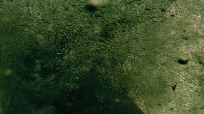 How Biofouling Impacts Vessel Efficiency - And How to Fix It